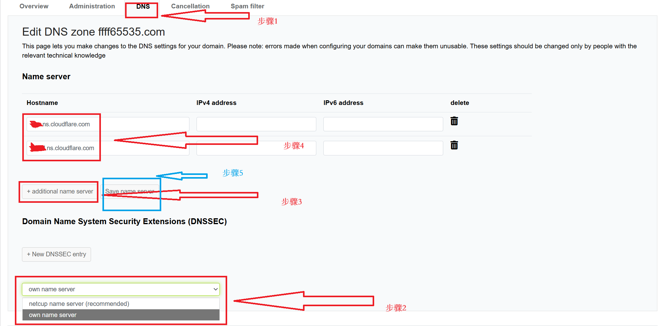 图二:填写自定义 Name Servers